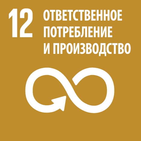 12 responsible consumption and production ru min