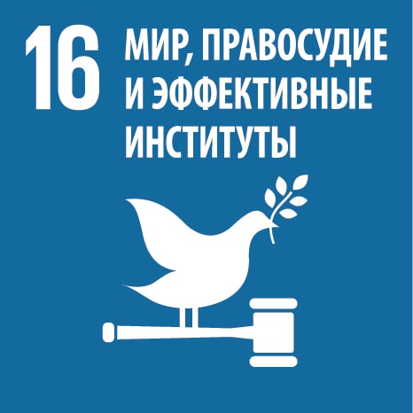 16 peace of justice and effective institutions ru min